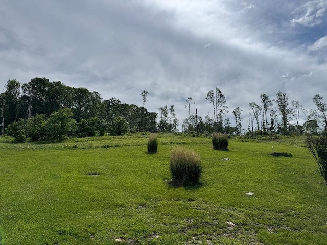 402 Dickerson Rd, Willis, VA 24343 - view of undeveloped land
