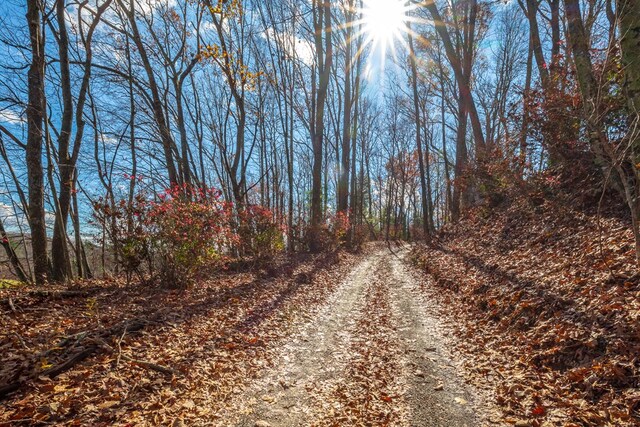 25 Sawmill Holler Rd Unit 64, Hillsville, VA 24343