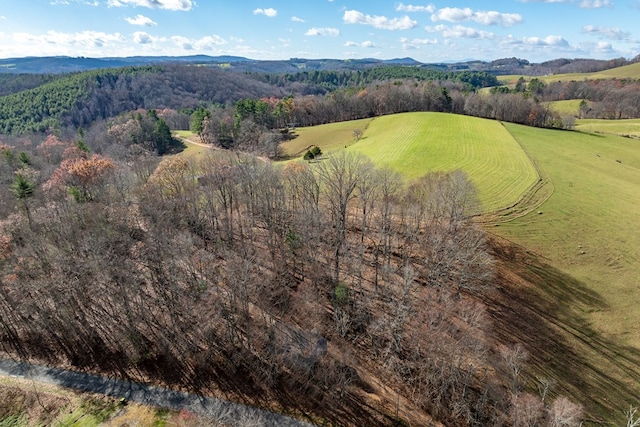 25 Sawmill Holler Rd Unit 64, Hillsville, VA 24343