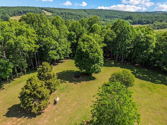 1610 Pope Rd, Ivanhoe, VA 24350 - bird's eye view of a heavily wooded area