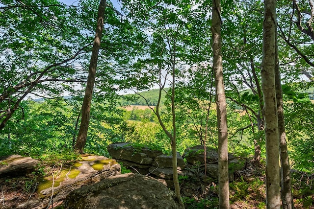 1610 Pope Rd, Ivanhoe, VA 24350 - view of local wilderness