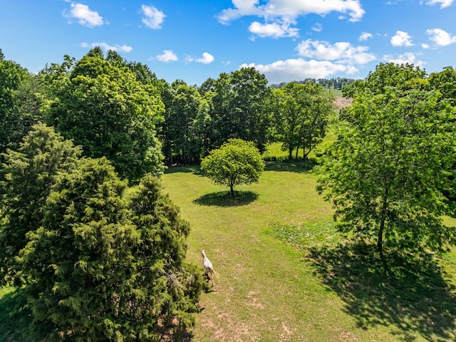 1610 Pope Rd, Ivanhoe, VA 24350 - view of grassy yard