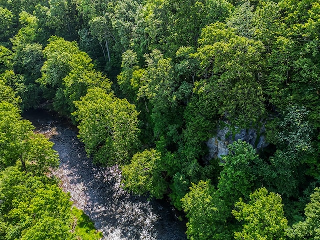 1610 Pope Rd, Ivanhoe, VA 24350 - view of property location with a forest