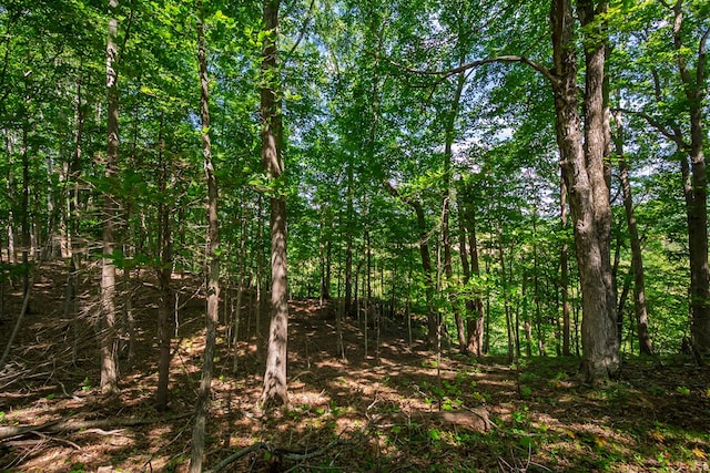 1610 Pope Rd, Ivanhoe, VA 24350 - view of nature