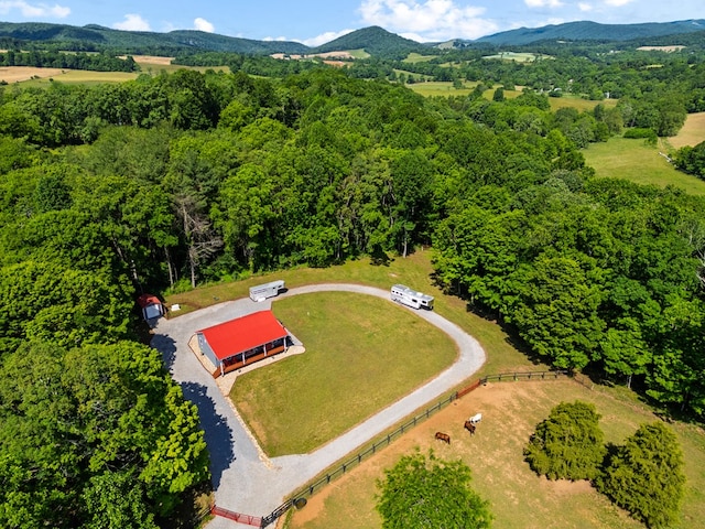 1610 Pope Rd, Ivanhoe, VA 24350 - bird's eye view of a mountainous background and a heavily wooded area