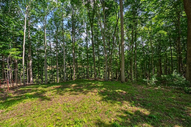 1610 Pope Rd, Ivanhoe, VA 24350 - view of yard featuring a view of trees