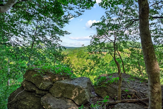 1610 Pope Rd, Ivanhoe, VA 24350 - view of tree filled area