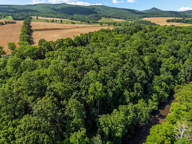 1610 Pope Rd, Ivanhoe, VA 24350 - aerial view of a mountainous background
