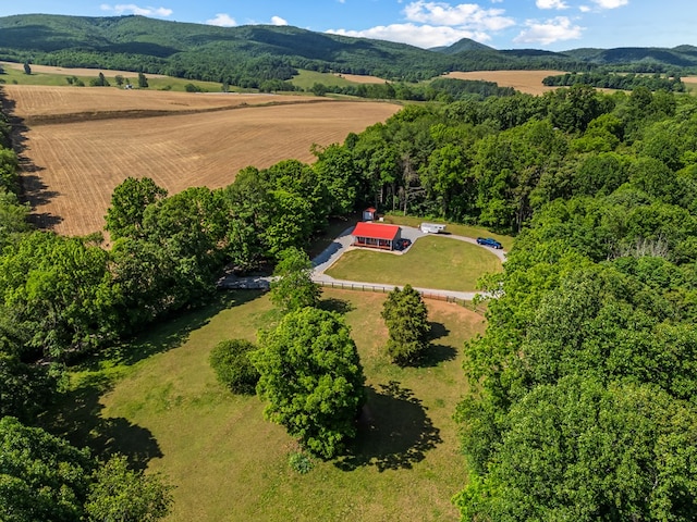 1610 Pope Rd, Ivanhoe, VA 24350 - aerial view of property's location featuring a mountainous background and rural landscape