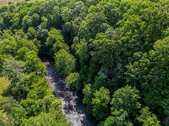 1610 Pope Rd, Ivanhoe, VA 24350 - aerial overview of property's location featuring a heavily wooded area