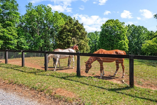 1610 Pope Rd, Ivanhoe, VA 24350 - view of yard