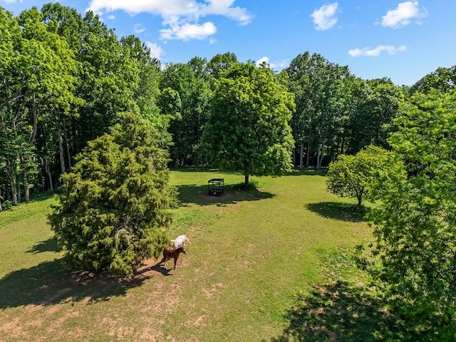1610 Pope Rd, Ivanhoe, VA 24350 - view of green lawn