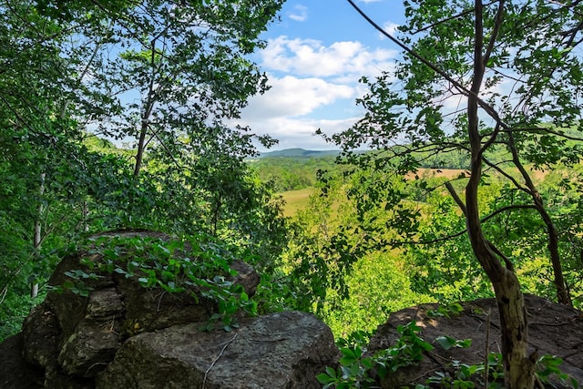 1610 Pope Rd, Ivanhoe, VA 24350 - view of undeveloped land with mountains