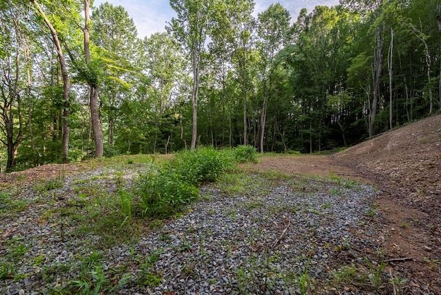 TBD Rhymer Rd, Damascus, VA 24236 - photo 5