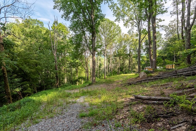 TBD Rhymer Rd, Damascus, VA 24236 - photo 4