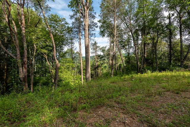 TBD Rhymer Rd, Damascus, VA 24236 - photo 6