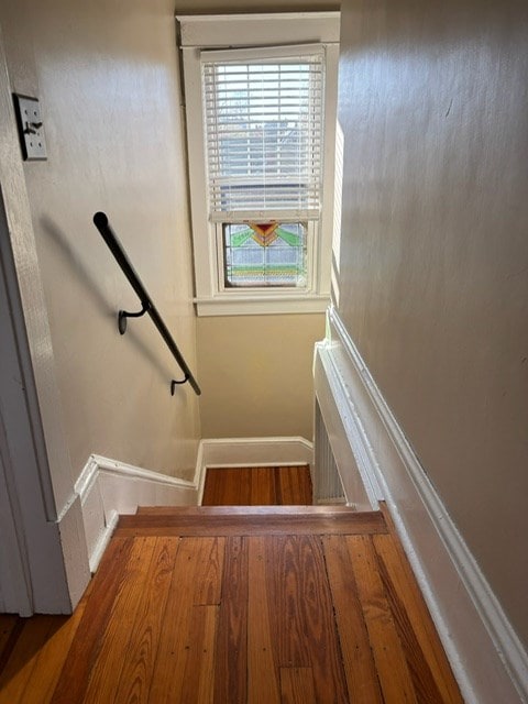 stairway featuring hardwood / wood-style flooring