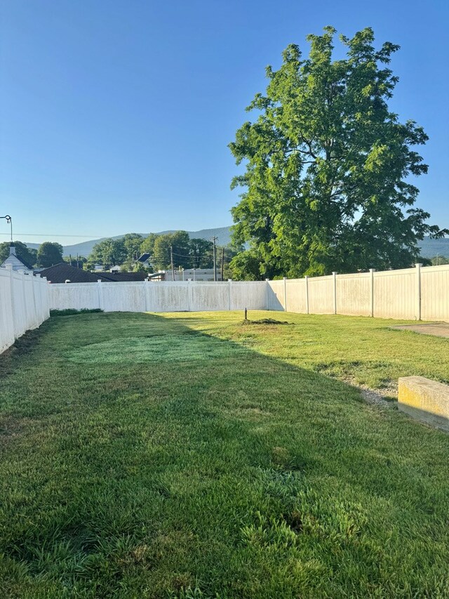 645 W N St, Wytheville, VA 24382 - photo 21