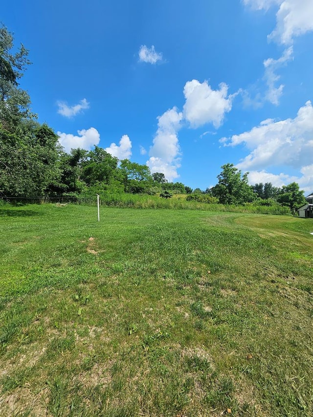 847 Dogwood Rd, Tazewell, VA 24651 - photo 27