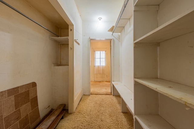 spacious closet with light carpet