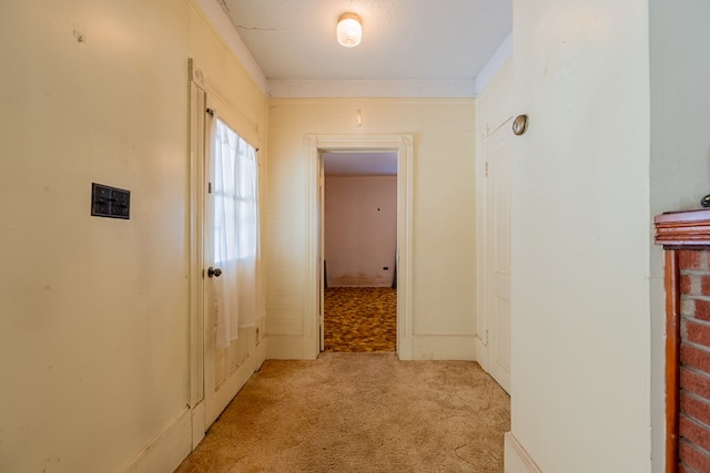 hall featuring light colored carpet