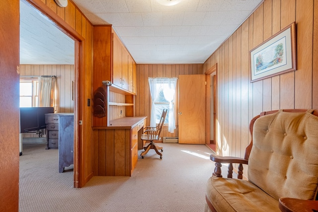 carpeted office with plenty of natural light, wooden walls, and a baseboard radiator