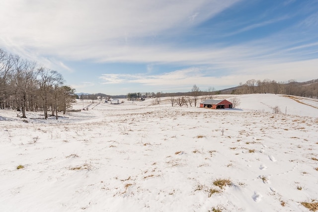 yard covered in snow with a rural view