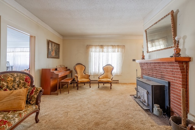 sitting room with crown molding, a textured ceiling, and carpet