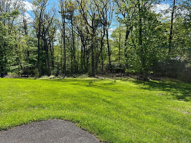 185 Laurel Dr, Fancy Gap, VA 24328 - view of yard