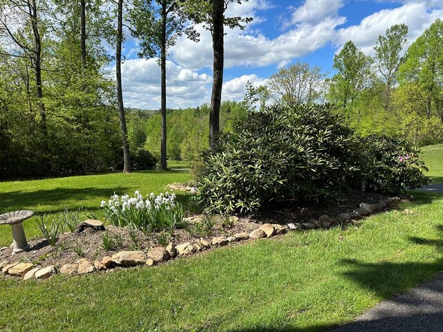 185 Laurel Dr, Fancy Gap, VA 24328 - view of grassy yard