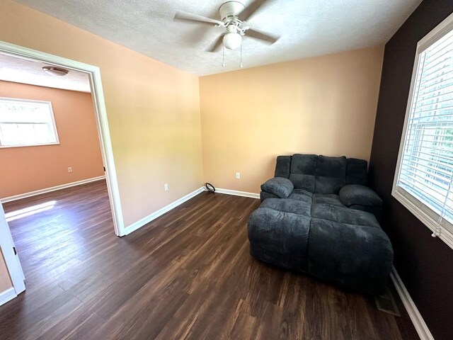 185 Laurel Dr, Fancy Gap, VA 24328 - sitting room featuring dark wood finished floors, ceiling fan, plenty of natural light, and a textured ceiling