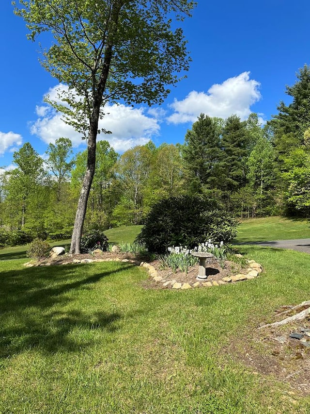 view of grassy yard