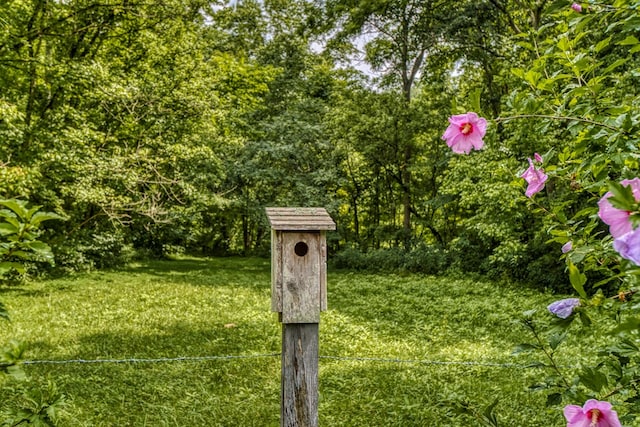 176 Spurrier Cemetery Ln, Hiltons, VA 24258 - photo 90