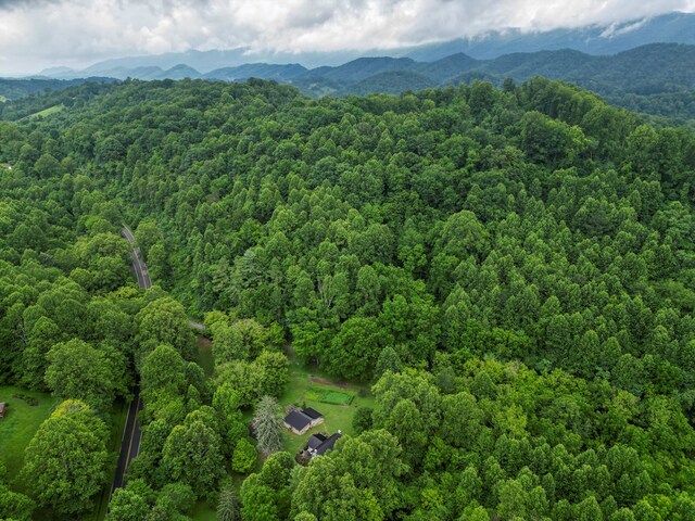 176 Spurrier Cemetery Ln, Hiltons, VA 24258 - photo 81