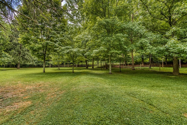 176 Spurrier Cemetery Ln, Hiltons, VA 24258 - photo 85