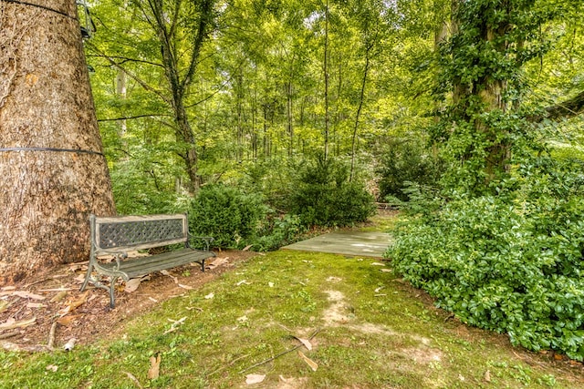 176 Spurrier Cemetery Ln, Hiltons, VA 24258 - photo 75