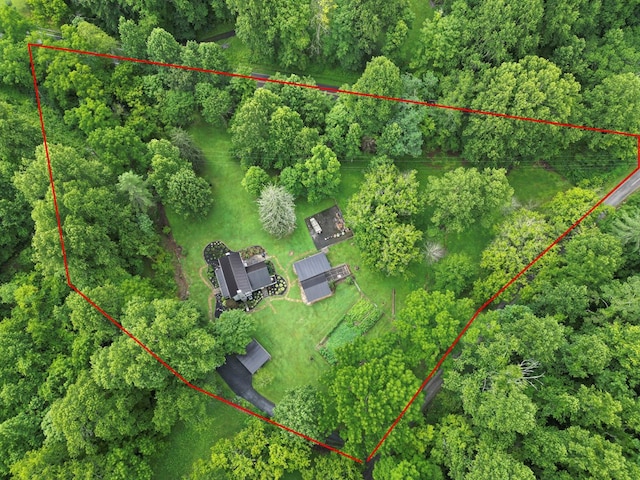 176 Spurrier Cemetery Ln, Hiltons, VA 24258 - photo 29