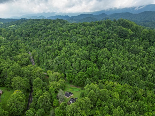 176 Spurrier Cemetery Ln, Hiltons, VA 24258 - photo 80