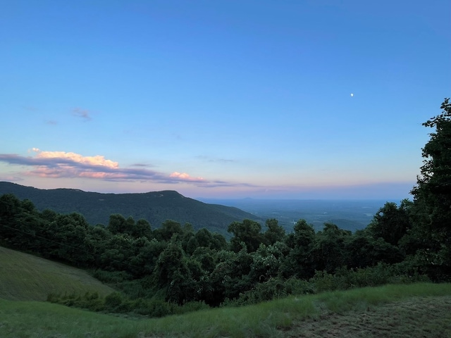 611 Morning Side Trl, Fancy Gap, VA 24328 - photo 40
