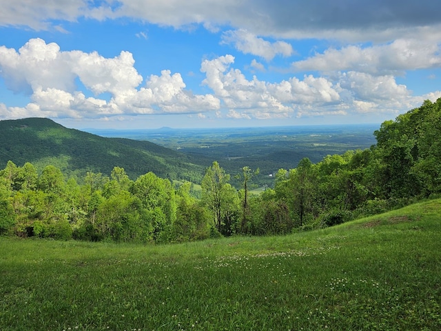 611 Morning Side Trl, Fancy Gap, VA 24328 - photo 44