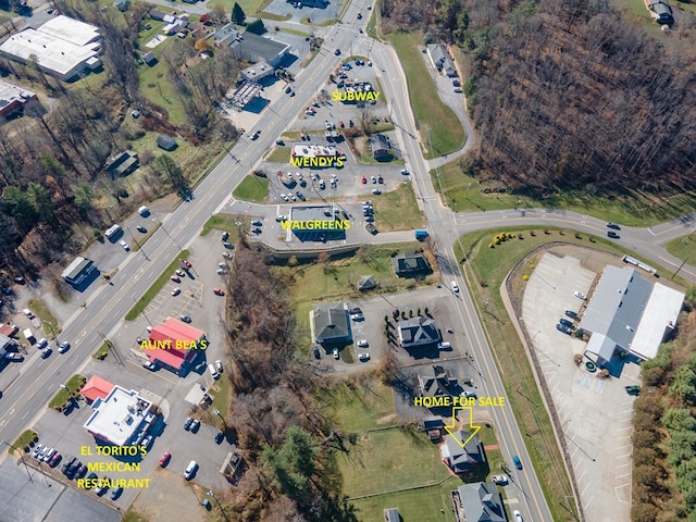 drone / aerial view