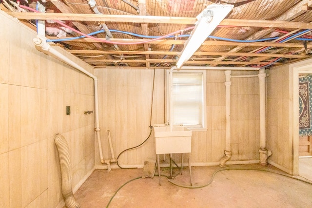 basement featuring sink