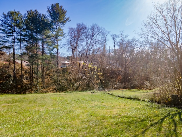 view of yard