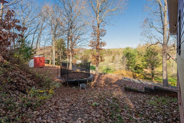 view of yard with a trampoline