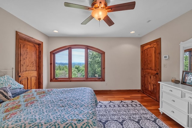 18549 Landridge Way, Abingdon, VA 24211 - bedroom with wood finished floors, recessed lighting, and a ceiling fan