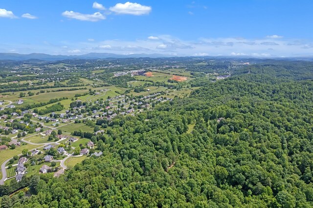18549 Landridge Way, Abingdon, VA 24211 - drone / aerial view of a forest and a mountain backdrop
