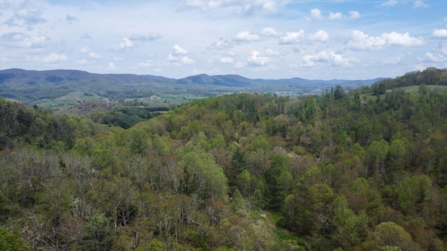 3672 Stones Chapel Rd, Elk Creek, VA 24326 - photo 17