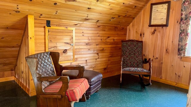 3672 Stones Chapel Rd, Elk Creek, VA 24326 - photo 32