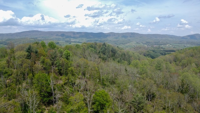 3672 Stones Chapel Rd, Elk Creek, VA 24326 - photo 16