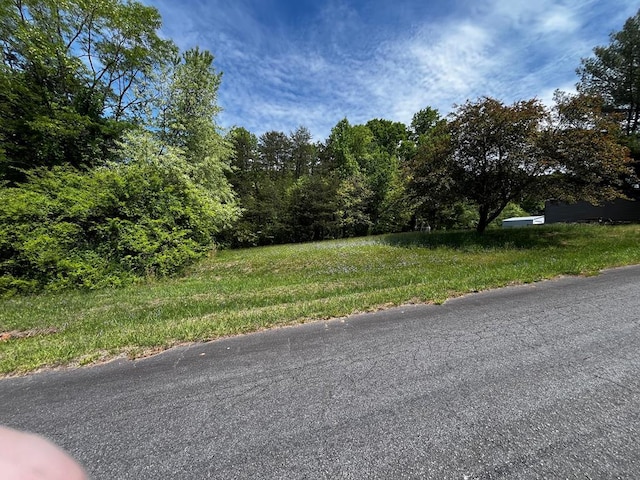 000000 Virgilina Cir Unit 46 & 46A, Cana, VA 24317